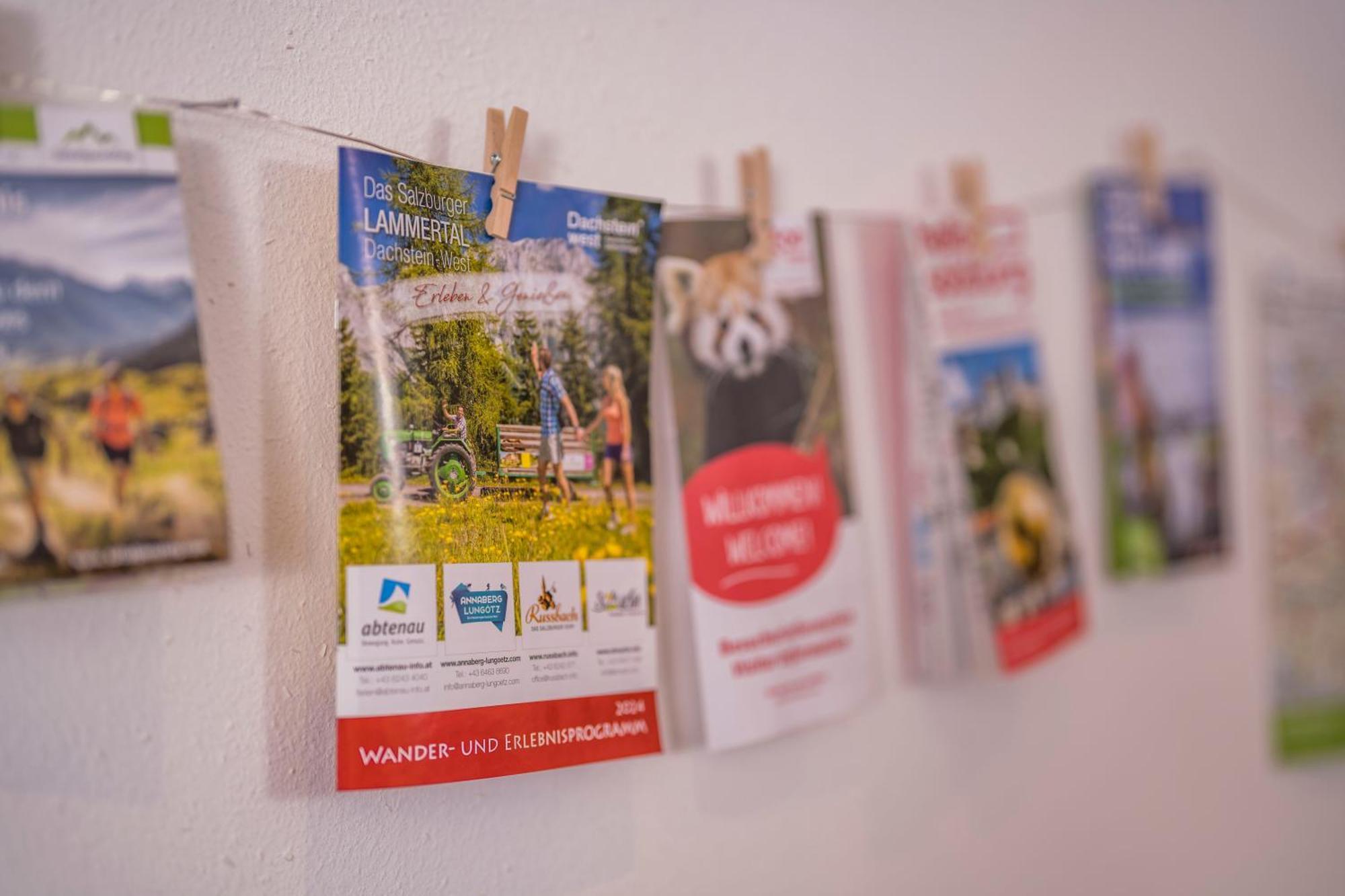Ferienwohnung Andexlinger Abtenau Ngoại thất bức ảnh